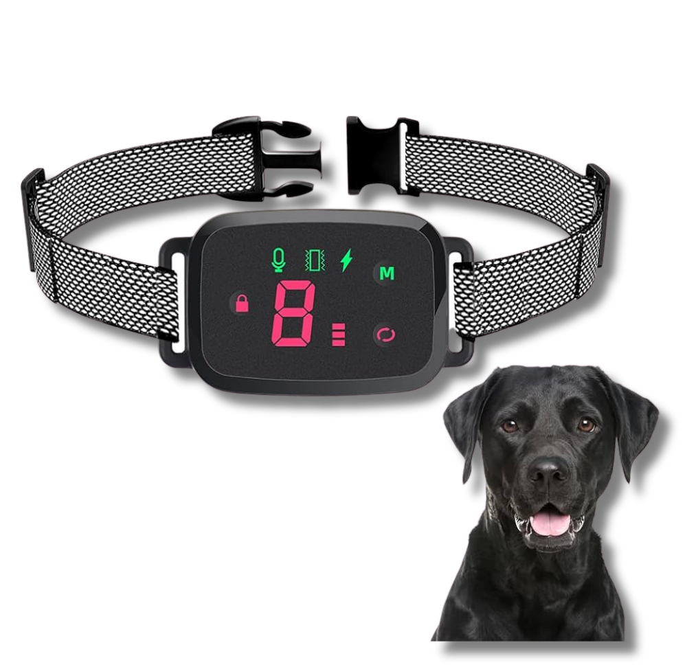 BarkWise™ - Smart Anti-Barking Collar