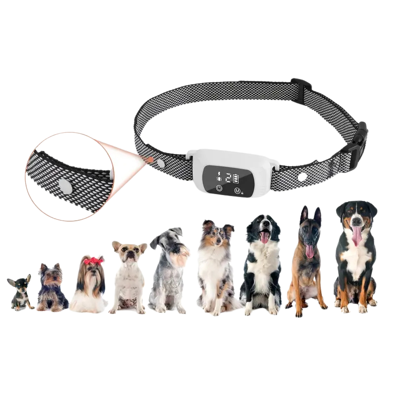 BarkWise™ - Smart Anti-Barking Collar